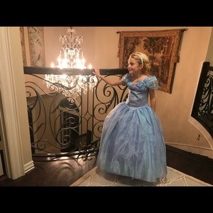 Disney Deluxe Cinderella Dress!